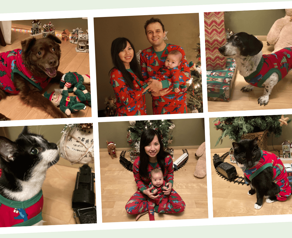 xmas photos